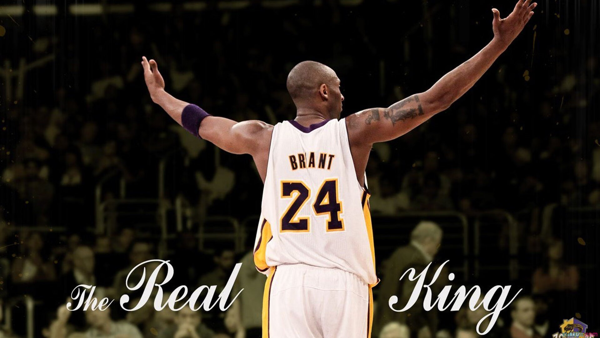 _知名运动员公益救援，展现职业风采_，运动员救人